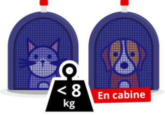 imatge transport animals cabina